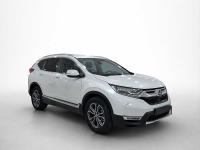 Honda Cr-v LIFESTYLE